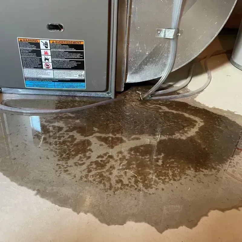 Appliance Leak Cleanup in Camdenton, MO